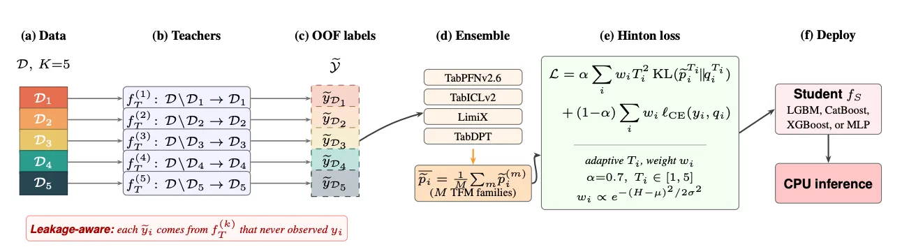 Pocket Foundation Models distillation pipeline