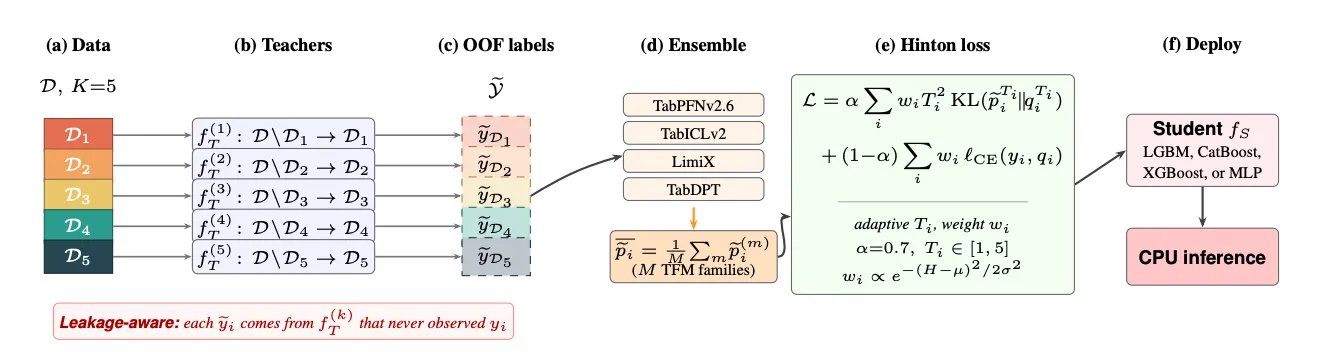 Distilling Tabular Foundation Models for Structured Health Data pipeline