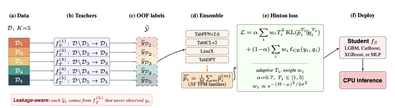Pocket Foundation Models distillation pipeline