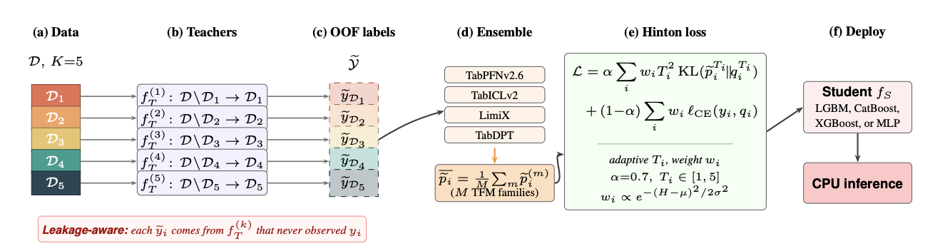 Distilling Tabular Foundation Models for Structured Health Data pipeline